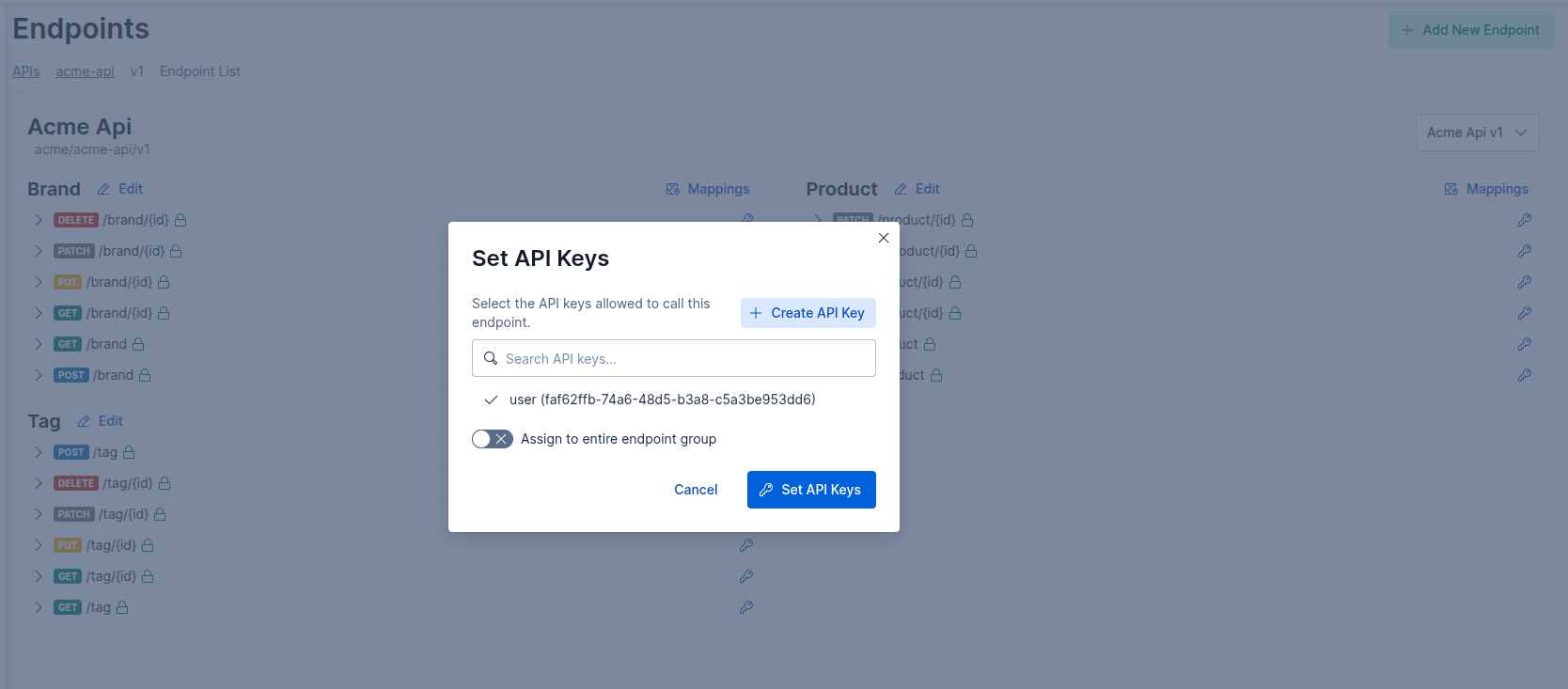 Set API Keys modal screenshot